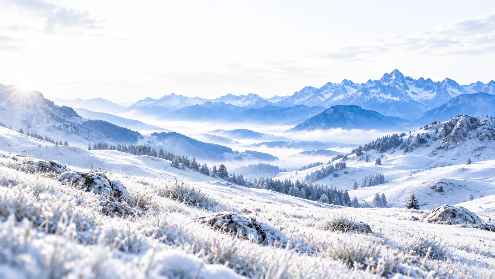 Landscape behind the ScreenSky introduction
